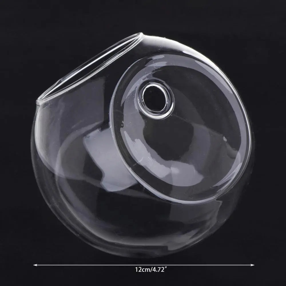 Glass Wall Hanging Terrarium Vase