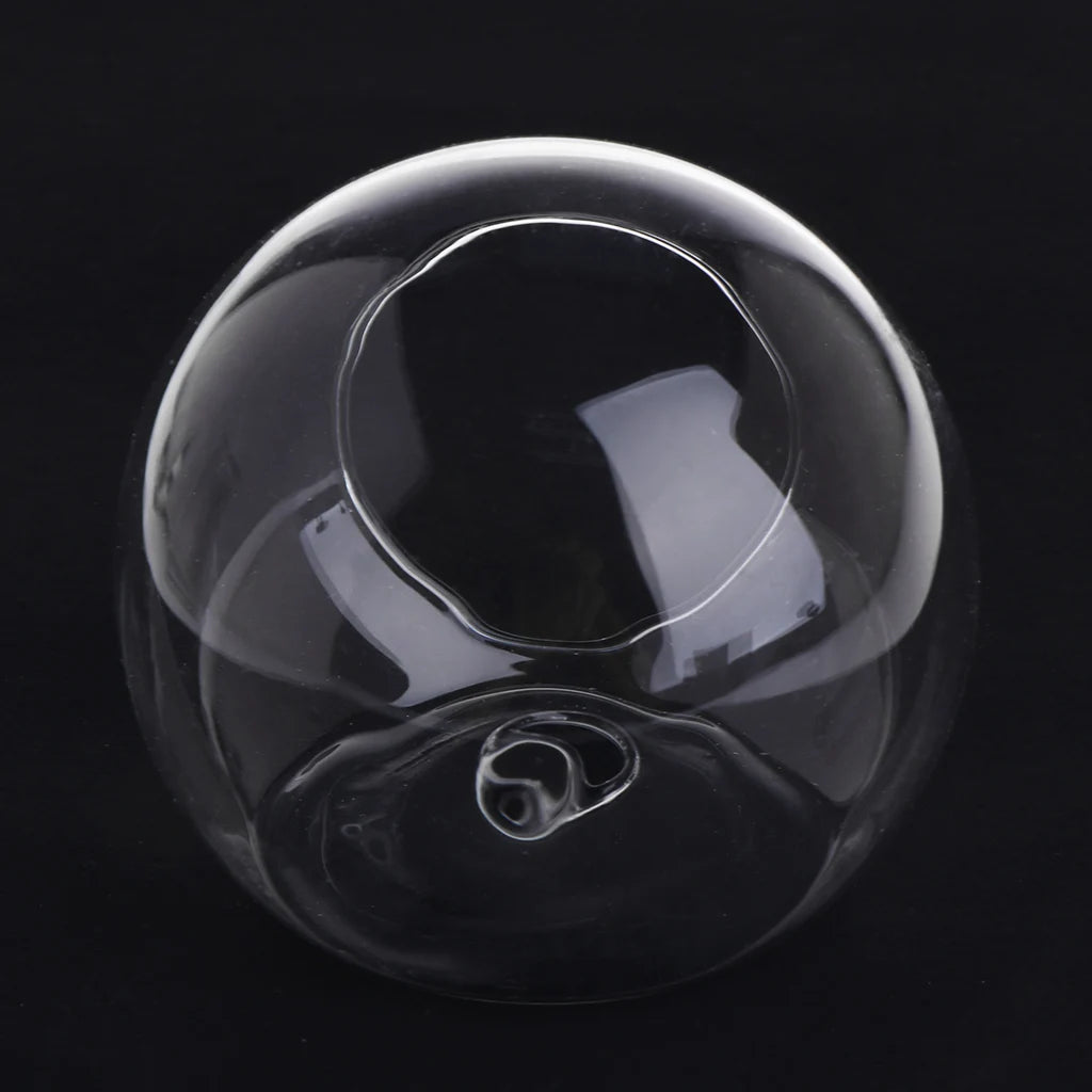 Glass Wall Hanging Terrarium Vase
