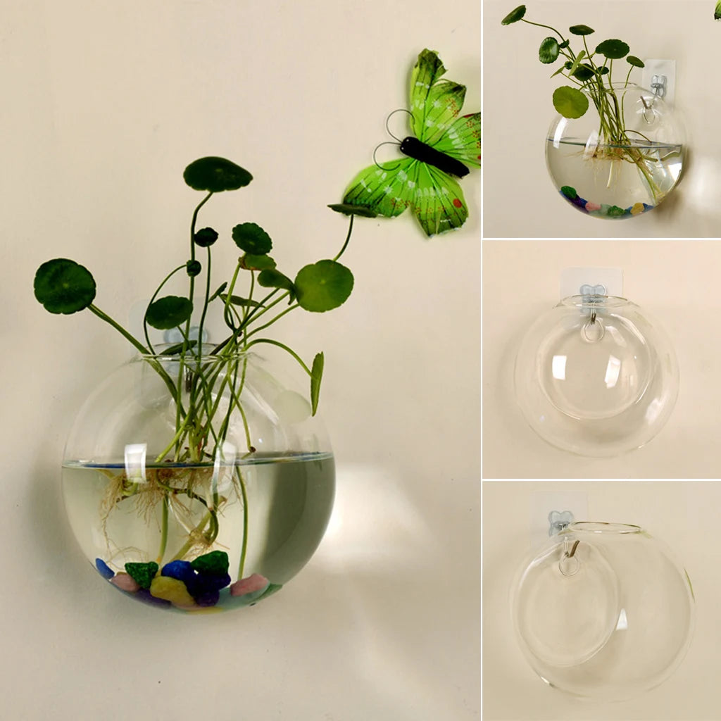 Glass Wall Hanging Terrarium Vase