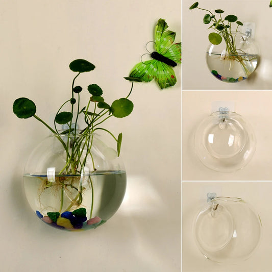 Glass Wall Hanging Terrarium Vase